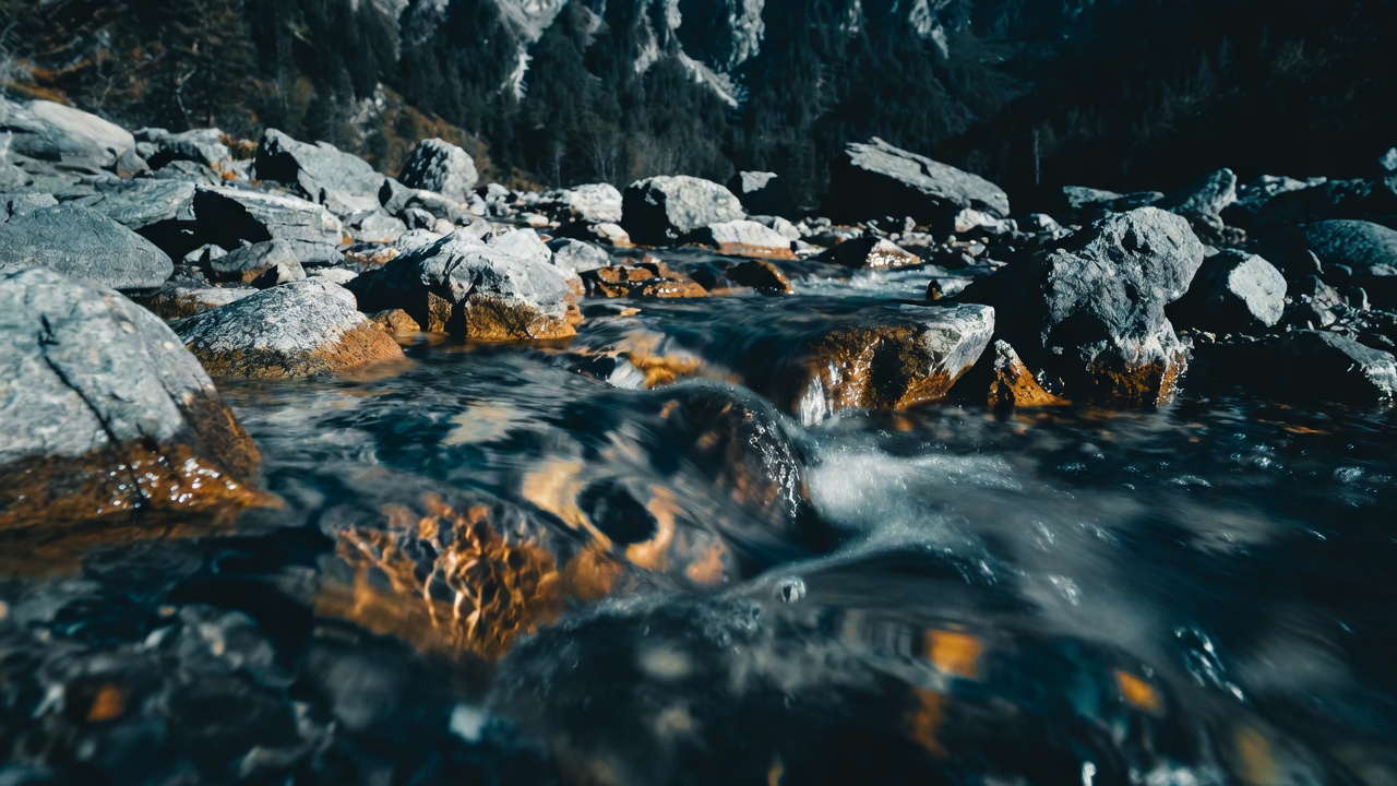 Depotanalyse kostenlos