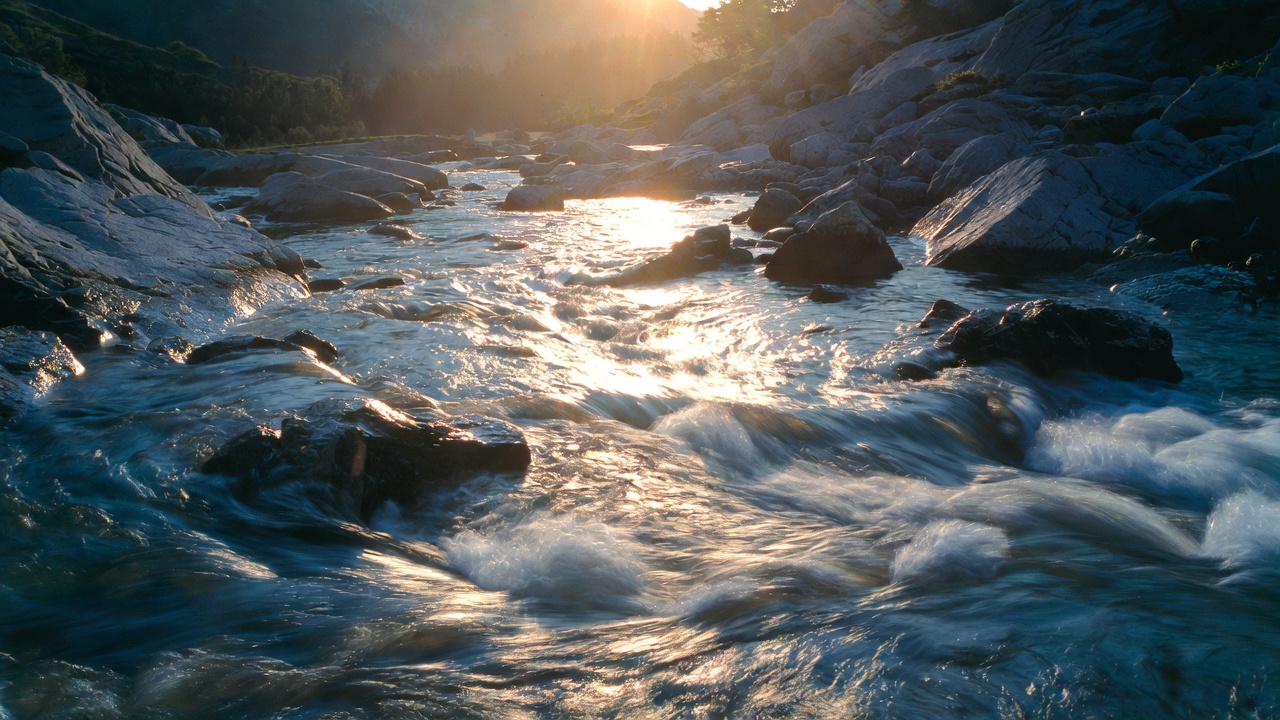 Liquidität Geldanlage